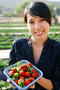 女孩摘草莓食物场地浆果孩子微笑饮食女性水果女士喜悦背景图片