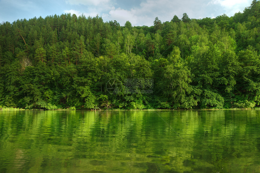 图景林和河流环境场景荒野衬套树木天空叶子溪流公园国家图片