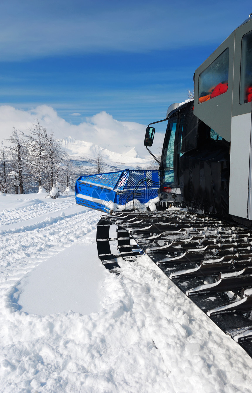 山中雪地猫图片