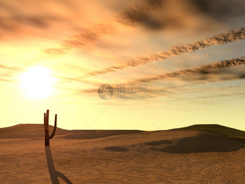 沙漠中的日落平原冒险阳光土地顶峰爬坡插图场景自由太阳图片