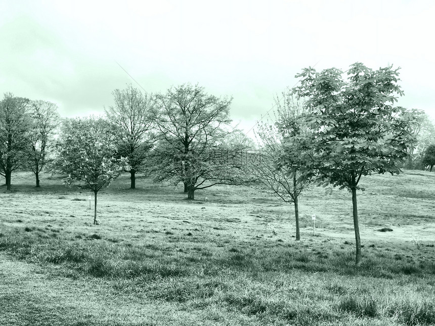 伦敦普里姆罗斯山树木天空蓝色王国黑色草地绿色公园白色天际图片