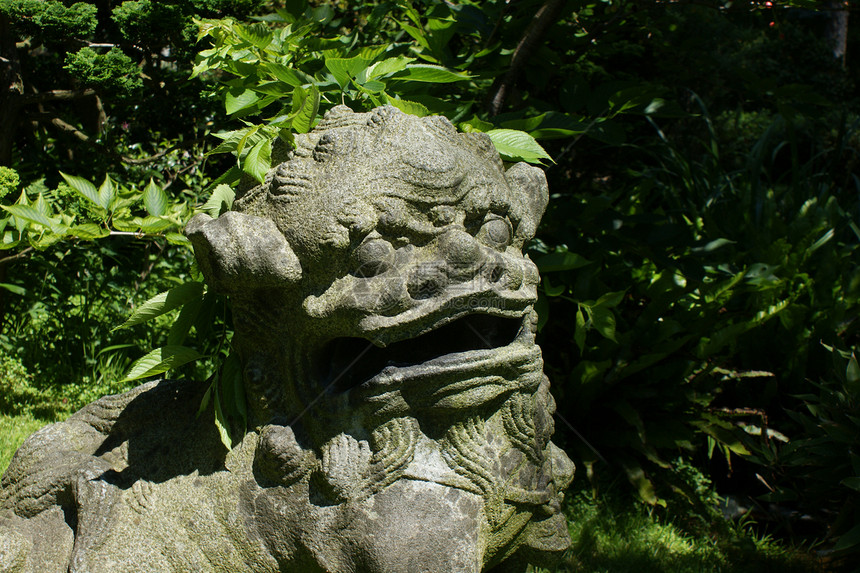 狮子的日本石像花园文化寺庙古董石头牙齿警卫动物传统艺术图片