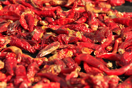 干燥的红辣椒胡椒背景图片