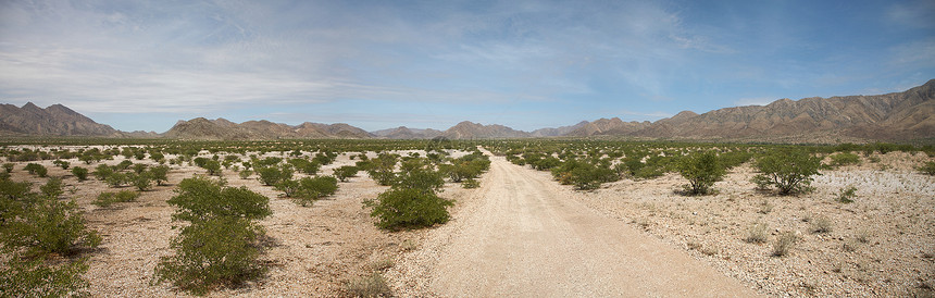 Kaokoland沙漠路晴天全景风景旅游土地日落干旱地平线岩石图片