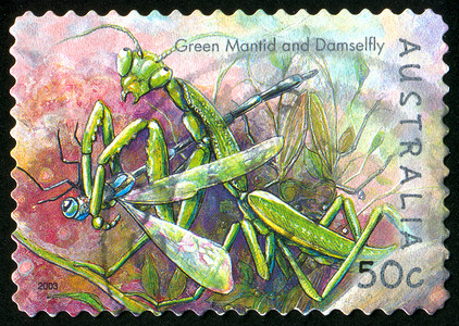 螳螂形象邮票天线邮戳邮件蜻蜓荒野动物明信片信封昆虫生物学背景