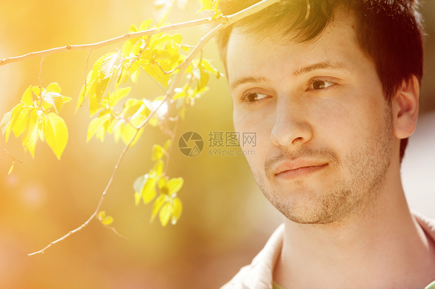 男性木头金子黄色青年幸福公园日落男人环境森林图片
