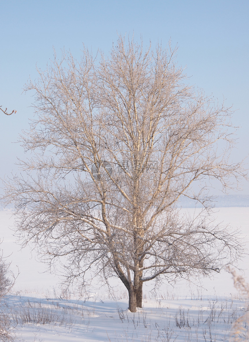冬季风景蓝色白色气候林地森林天气冻结季节场景国家图片