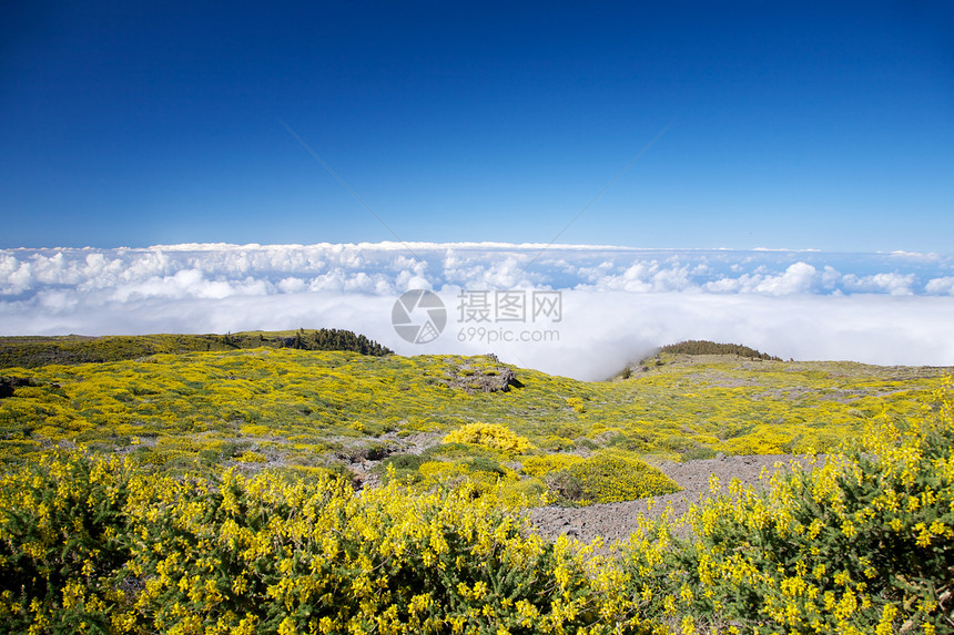 La Palma 高视图图片