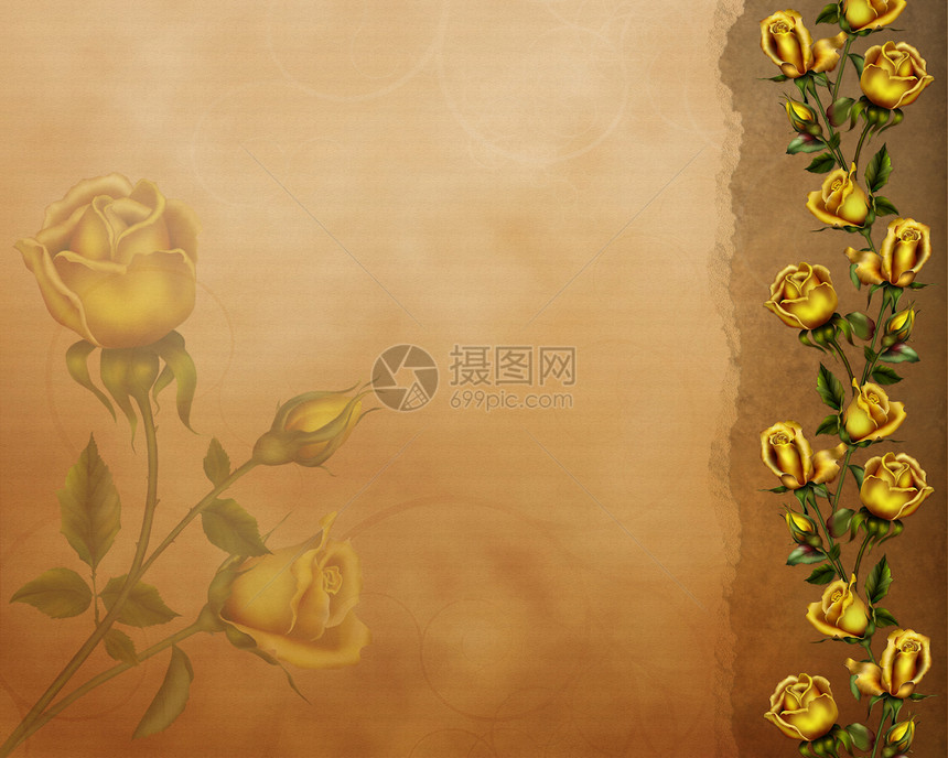 黄金玫瑰蔷薇叶问候贺卡叶子鲜花卡片金子花朵树叶图片