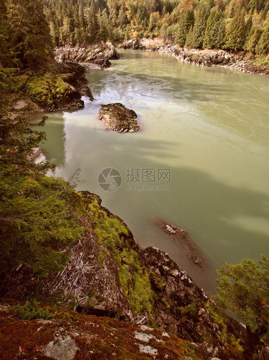 不列颠哥伦比亚省Skeena河场景灌木丛松树森林树叶丘陵风景树木旅行岩石图片