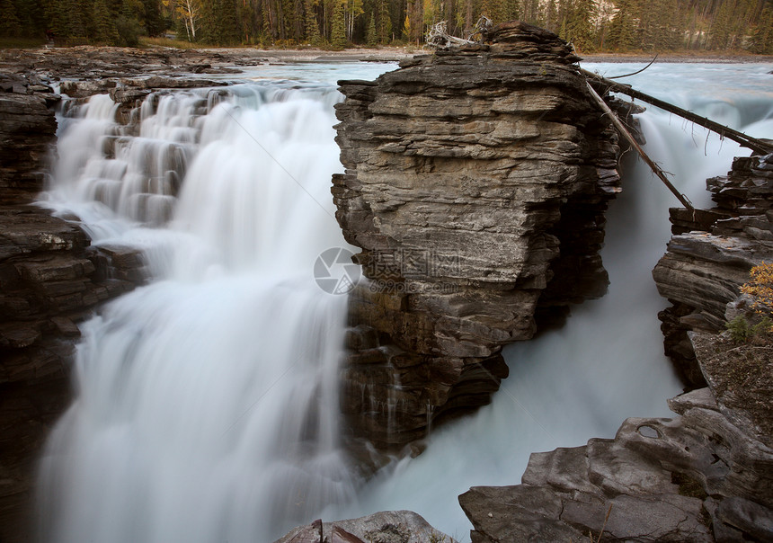 贾斯珀国家公园阿塔巴斯卡瀑布瀑布风景水平旅行斯卡岩石环境场景松树树木图片