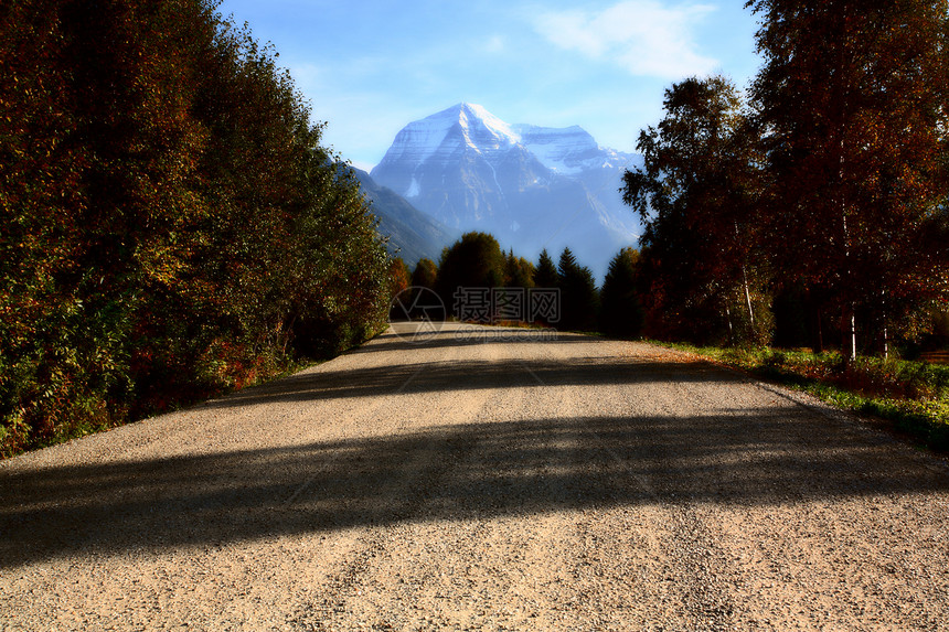 Robson山路透视水平观光风景旅行山脉树叶场景松树图片