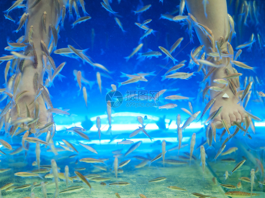 鱼水女性呵护水族馆女孩蓝色治疗温泉游泳图片