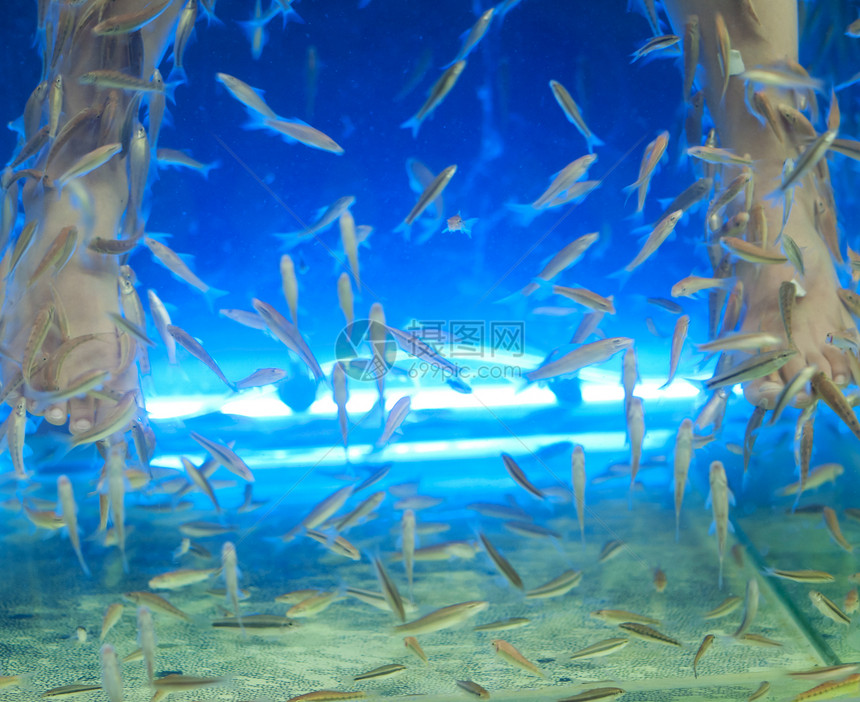 鱼水治疗游泳蓝色温泉女孩呵护女性水族馆图片