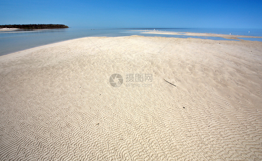 温尼伯湖沿岸沙滩海滩水平乡村旅行浮木公寓风景假期图片