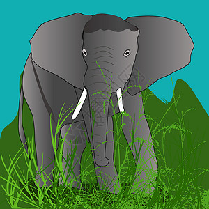 大象獠牙树干蓝色天空绿色背景图片