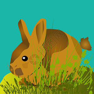 兔子兔棕色蓝色天空绿色背景图片