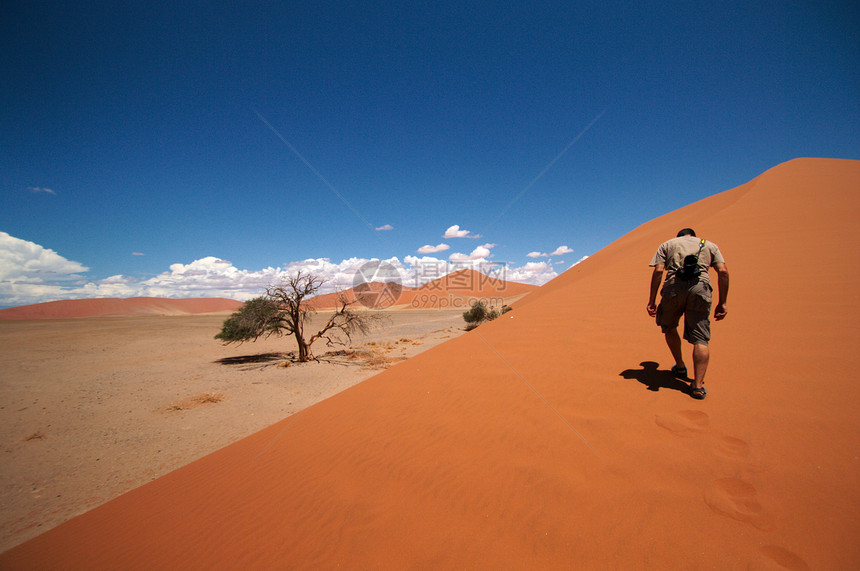索苏武夫莱沙丘旅行蓝色场地纳米布沙漠橙子干旱阳光荒野风景图片