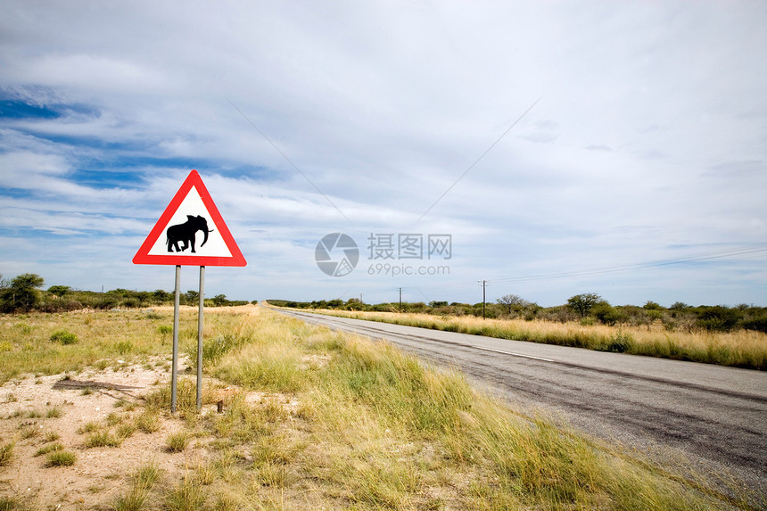 危险大象路标图片