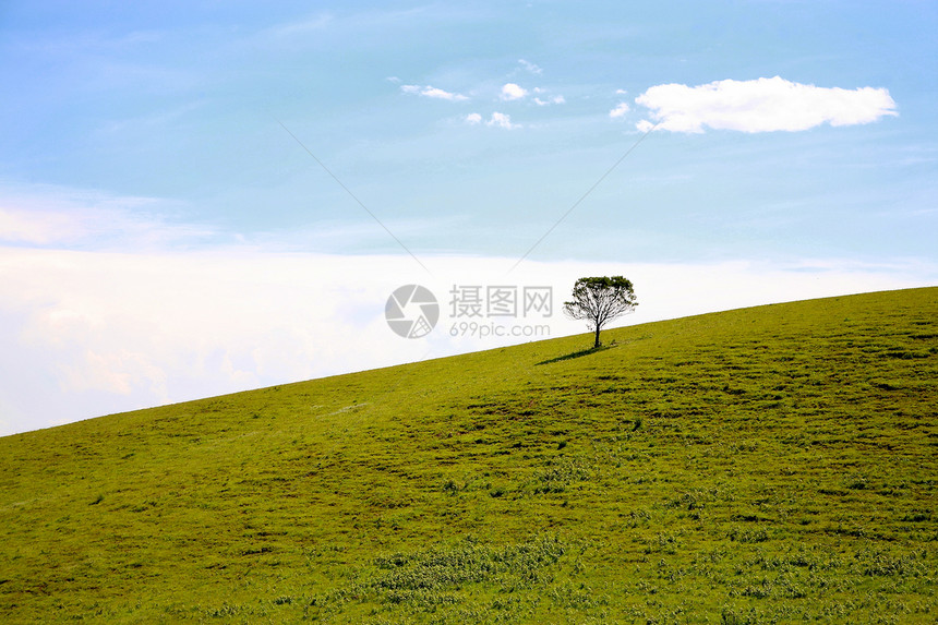 在乐园的路上有田地草原自由植物水平房子土地摄影农田风景天空图片