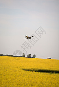 转而喷洒萨斯喀彻温地区的作物工业飞机背景图片