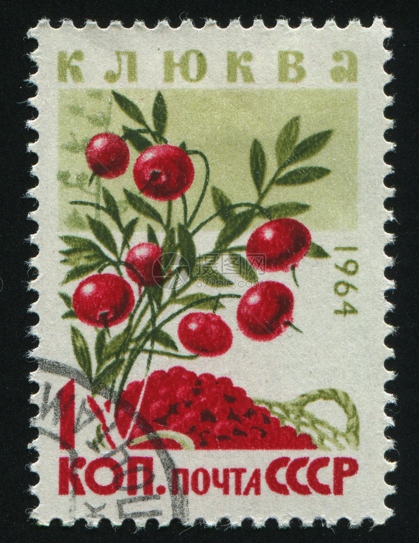 邮票集邮卡片衬套浆果邮件地址食物邮戳草本植物叶子图片