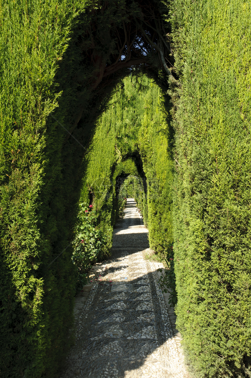 西班牙格拉纳达的普通花园灌木植物遗产地标人行道植被公园植物群树篱衬套图片