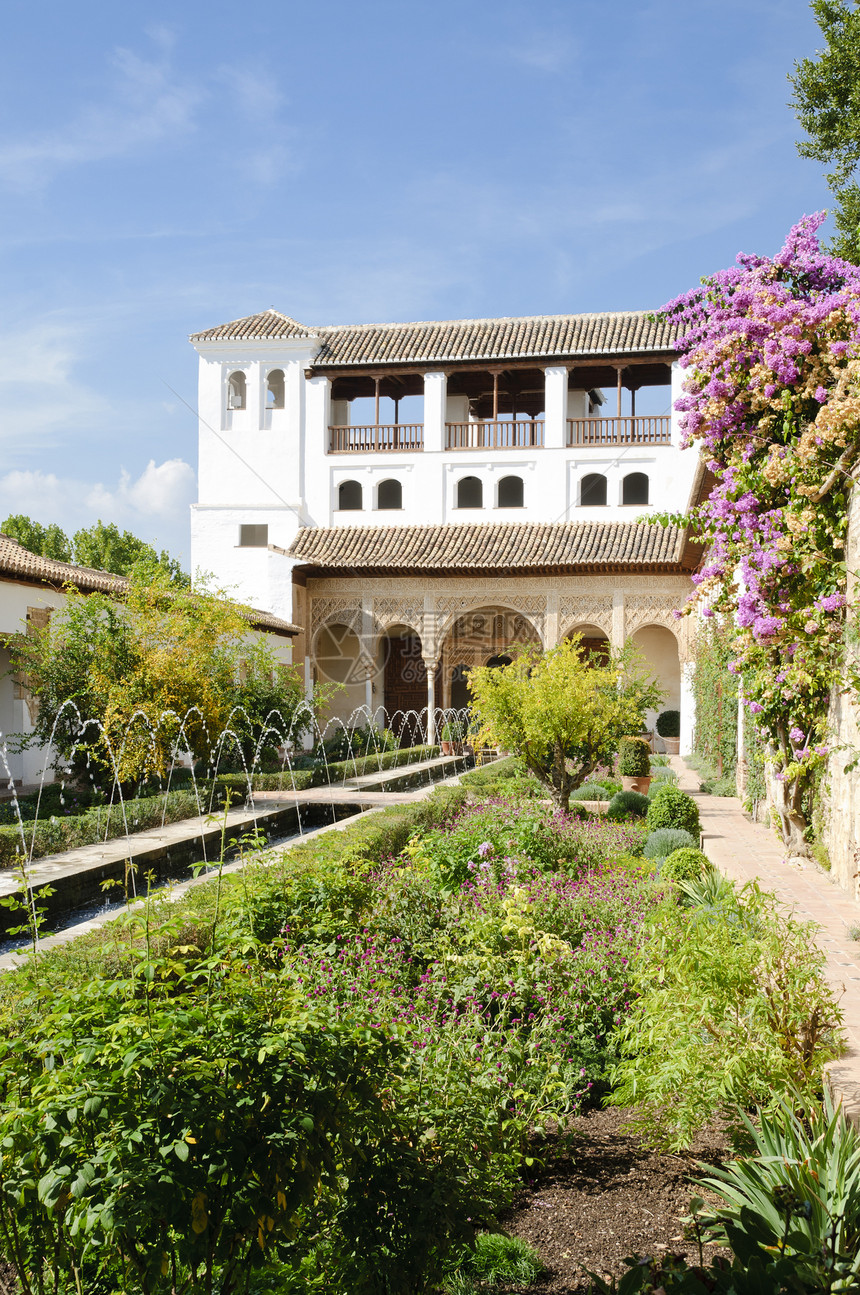 Alhambra  普通花园内Acequia派遗产树篱喷泉水池绿色公园衬套建筑利费灌木图片