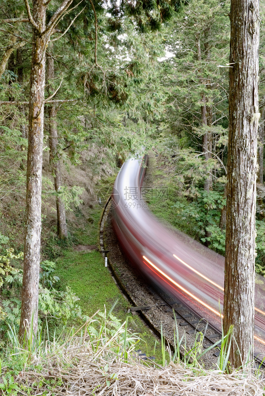 森林铁路过境路线风景场景交通旅行植物国家小路建筑学图片