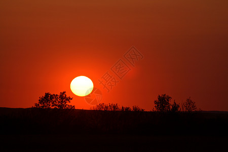 萨斯喀彻温省在虚张声势后晒太阳背景图片