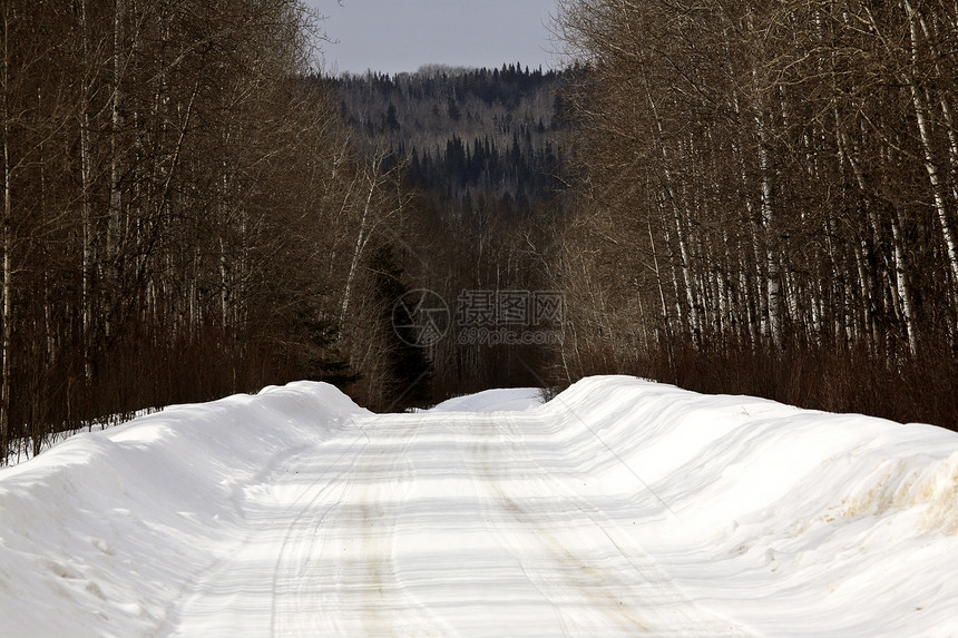 冬季的雪覆盖道路风景旅行白杨树照片场景水平图片