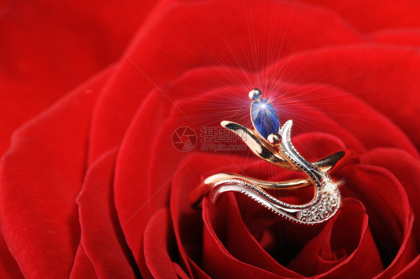 红玫瑰中闪亮的戒指图片