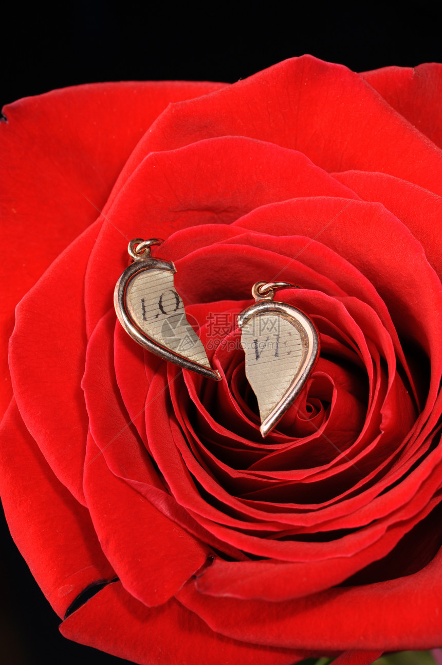 红玫瑰中破碎的金心植物黑屏宝石美丽礼物夫妻蜜月庆典首饰婚姻图片