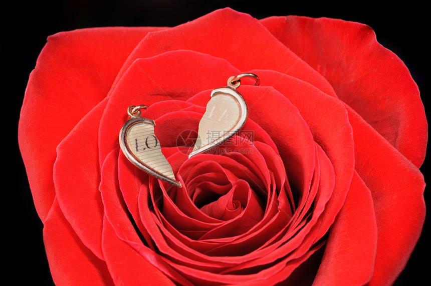 红玫瑰中破碎的金心花瓣美丽钻石宝石夫妻新娘珠宝叶子庆典首饰图片