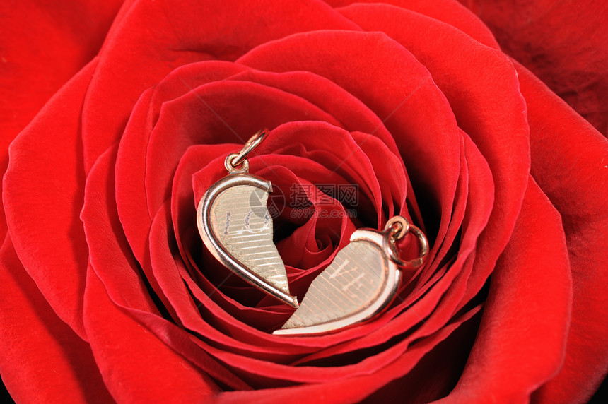 红玫瑰中破碎的金心美丽礼物蜜月邀请函新娘玫瑰钻石庆典金属卡片图片