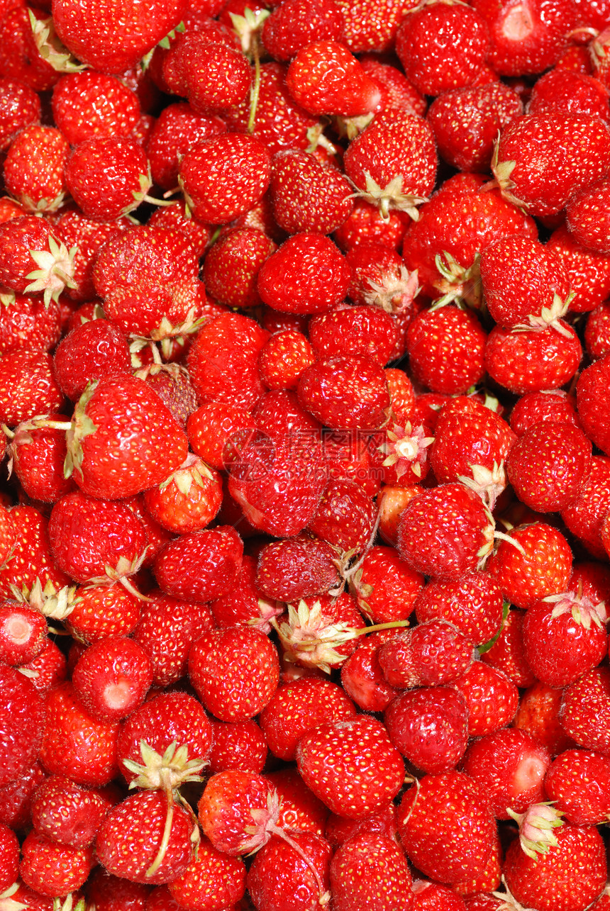 草莓背景甜点健康白色农业红色蔬菜工作室水果浆果种子图片