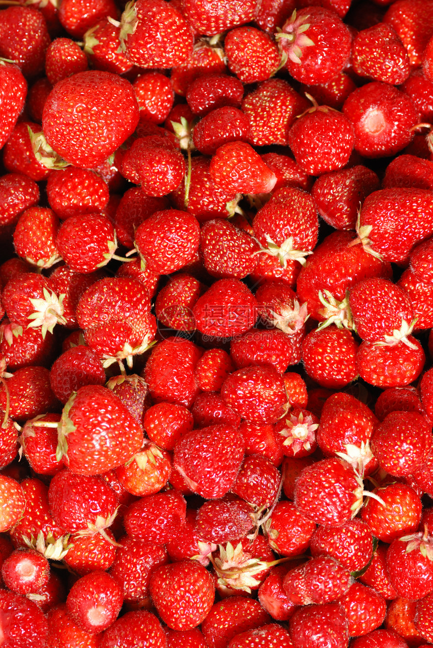 草莓背景早餐种子农业活力植物养分红色蔬菜甜点健康图片