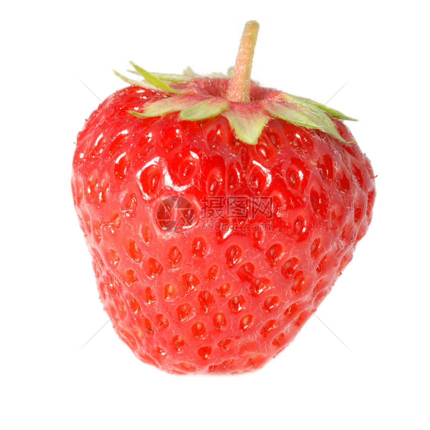 草莓种子白色红色浆果蔬菜植物甜点工作室活力水果图片