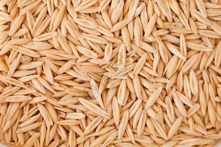 整个谷物燕麦收集状况收成商业食物粮食生长食品栽培核心背景图片