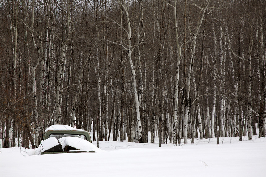 冬季在阿斯彭森林附近埋雪的卡车图片
