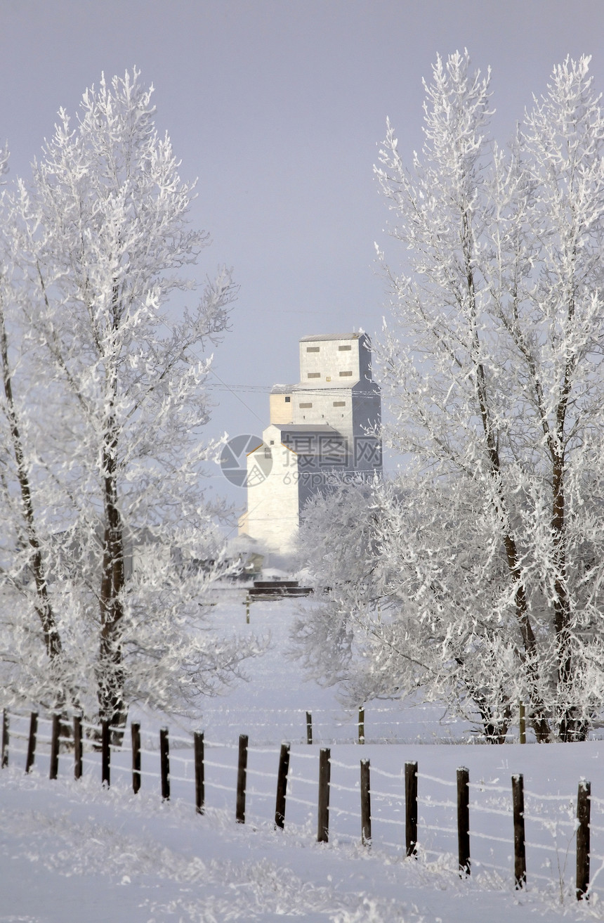 远距离有谷物电梯的树上霜冻树木小路乡村白霜旅行风景蓝天天气福德照片图片