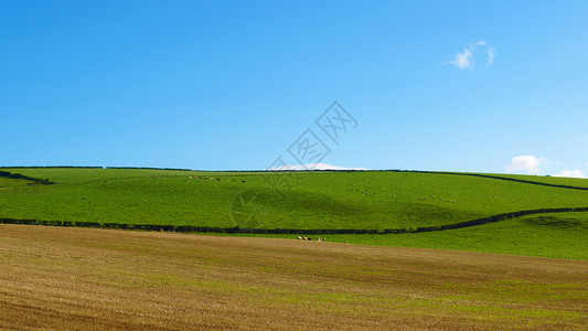 红心山爬坡王国天际全景草地天空绿色蓝色丘陵背景图片