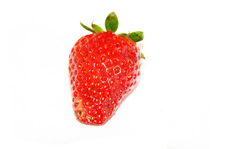 草莓白色水果花园静物浆果背景图片