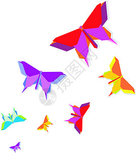 春季折纸蝴蝶天空夹子插图飞行荒野热带森林自由速度蓝色插画