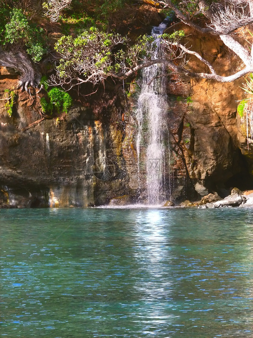 新西兰瀑瀑布溪流悬崖场景蓝色生态荒野栖息地海岸瀑布生物学图片