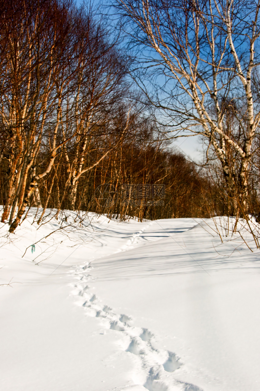 雪上的痕迹白色路线旅行轨道寂寞风暴打印风景运动靴子图片