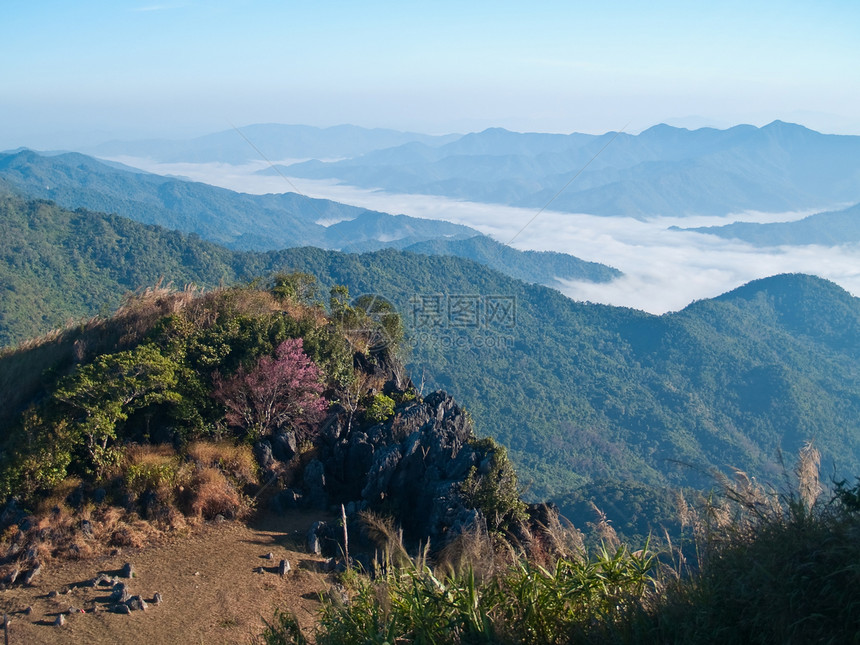 山雾地块悬崖森林旅行风景植物天空山脉石头公园图片