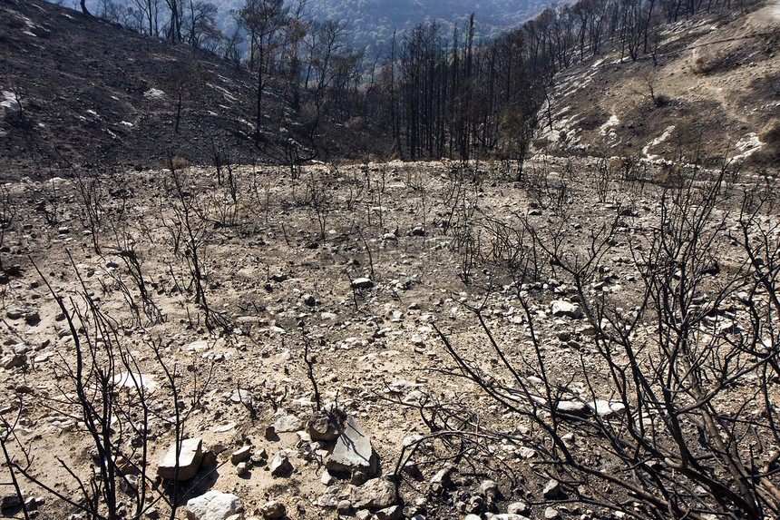火灾后森林海法消防队员火焰烧伤假期植物远足天空旅行侵蚀图片