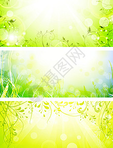 新的阳光素材绿色新阳光明亮的横幅风格网络植物网站叶子收藏草地植物群太阳生长插画