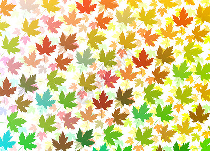 色彩多彩的树叶叶背景图片